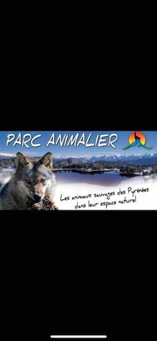 Appartement Avec Vue Sur Le Lac De Matemale Les Angles  Exteriér fotografie